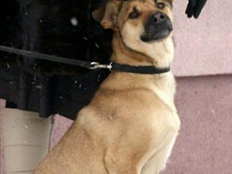 � ����� ��� �����, �������� ���� ��� ��������� ��� �������,  ��� ������� ����� ! ��� ��� �� �������� �������� ���� ����, �������� � ������� �/� �����, , , , , �� � ������������