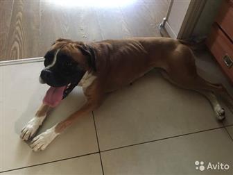 ������-������� 2 ����! ����� ������, ����� �����, ��� ���� �������� ���������,  ����� � ������� ���-����� ���� ��� �������� � ��������, �� � ����������� � ����, � ������������