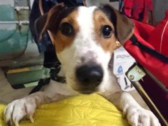 ������������ ���� ������ ������ ���� �������,  �������� �� �������� � ������������,  ��� ��� �����������, �� ����� ������, ��� ��� �� �����, ����� ��� ����, �� ��� � ������������