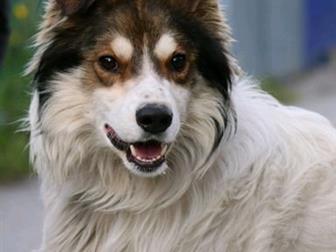 ��������, �� ��������� ?�������� ������� �������� � ���������� ���, ������ ������ ������� - ��� ����� ����,  �� ���� �������� ����� ��, ��� � ��� ������������� ���, � ������������