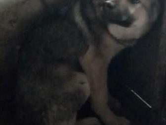 ���� � ������! ��� � ������!!!!������ ���� � �������� � �����?��� �� �� ���� �������?������� ����, � ����� ������ �� ������!������ ���� � ������ �������� �� ����, � ������������