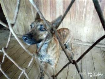 ���� � ������! ��� � ������!!!!������ ���� � �������� � �����?��� �� �� ���� �������?������� ����, � ����� ������ �� ������!������ ���� � ������ �������� �� ����, � ������������