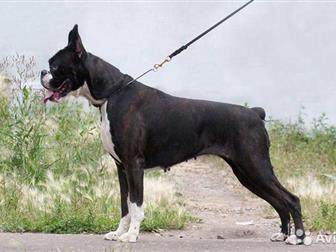 ��������� �������� ����� �������, ��������,  2 ������,  �������, ��������,  ����� �������� � �����,  ����� ��������� � �������� �������� � �����,  � ������ �������� � ������������