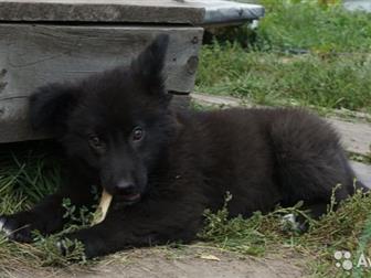 �����������! � ��� ��� � �������! � ������ ��������� � ��� �� ���� ������, ��� �� �, , ,  ����� � ���� ������, , ,  �� ���� �������, ��� � ���������!))) � � �� ����)) � ������������