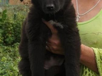 �����������! � ��� ��� � �������! � ������ ��������� � ��� �� ���� ������, ��� �� �, , ,  ����� � ���� ������, , ,  �� ���� �������, ��� � ���������!))) � � �� ����)) � ������������