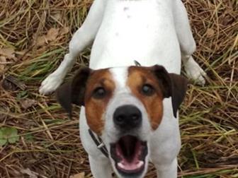 ������ ������ ������,  5 ���,  ��������,  ������� ������������, � ������������