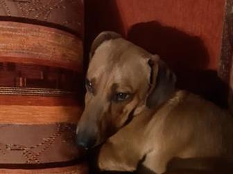 ������ ���� ��� ������� ��� ������ ������� ��2-3���,  ��������� ������� �����, ������� , �� ������,  ��� ���������,  ���������, ������, � ������������