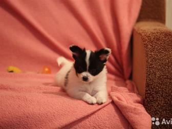 ��������� ������������ ����� �������� � ��������� �������� �������,   �, �,  -  13, 08, 2019 ,  ���� � ���� � �������� �����������,   ��������� ��� ,  ��� ���������� � ������������