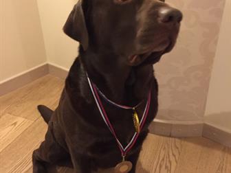 ������ 6, 5 ���, ������, ������,  ������� ������, �������� �����������, ��������� ���,  ���� 4 ������ �������� � ������� ������, ������� � ����������� ������,  �� � ������������