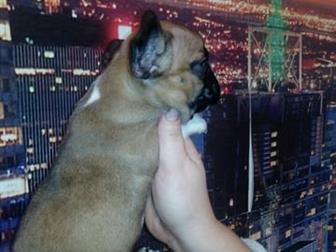 ��������� ����� ����� ����������� �������� � ����������� ���, �������� � ��������� ��������, ������ ���� � ����� �� �������, ����� ����, � ������������