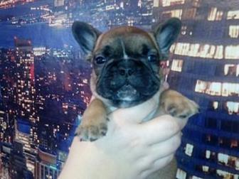 ��������� ����� ����� ����������� �������� � ����������� ���, �������� � ��������� ��������, ������ ���� � ����� �� �������, ����� ����, � ������������