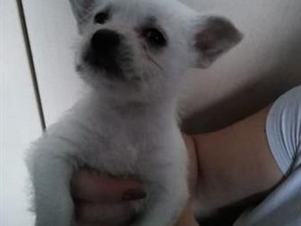 ��� �������������� ��������, �� ��������� ������, ���� ������������ �������� � ������������