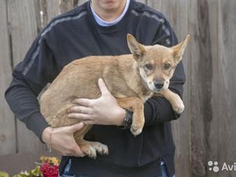 ������ ������ � ���� ����,  �� ��� ������� � ������� ������� ��������� �����,  ����� ����� ����� � ������� �� ������, �� ���� �������� � ���� �� �����,  ��������� � ������������