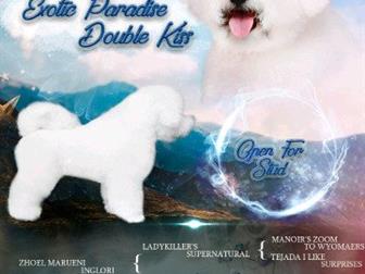 ������������ ��� �����  - �������, ������������� ������ �� ������  ������� ������� ����� ����,  ���� ����������  ��� �� ������������  �������� ,��������  � ���, � ������������