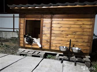 �����1,5 ��������� �������� ��������������������������� ��� ���������� � ������������