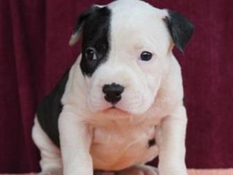 ��o��c��o�a����� ���o���� ��e�����e� � �po���� �������e���x �e��o� A�����������o c�a�������pc�o�� �ep�e��, ��c�a���,  �e��� �����o��po����, �����, ������x ����co�, � ������������