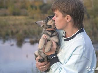 ��������� � ����� ��������, ����� ������,  ������� ���������! �������� ���� ��� �����! �������� �������� �� ������, ����� ������� ������, ������ ���� � ������� � � ������������