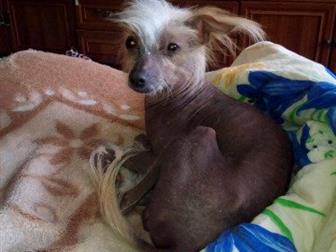 ����� � ������������