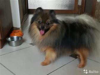 �������� �����,  �������� 4, 08, 19 � 5, 08, 19,  ���� �������� � �������,  �����  ��������� ���� , � �������  ���� � ����-������,  ������,  �� ����� �����������, � ������������