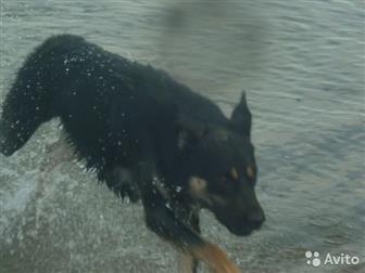 ������ ������� ����������� ׸�����������	�������, ����� ����� ��� � ����������, ��� �������� � ������������