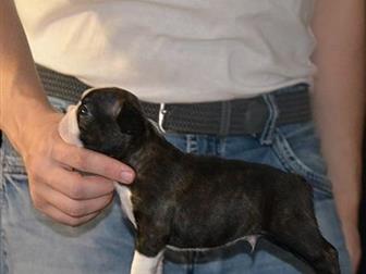 ��������� ����� ������ �������  �� ��������� ������� ������ �, �, 16, 08, 2019 � �� �������� ,������������ ���������,  ����� ��������� ������ �� ��������, ���� ��������, � ������������