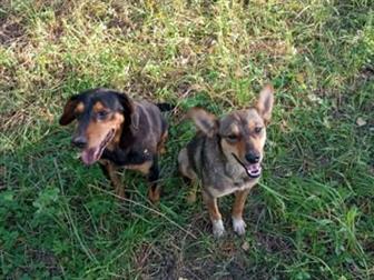 ���������� ����������� ������,  ���������� � ������ ����,  ���, ��� ����,  �� ����� ���� ����� ��� �� ����,  ���� ���� ��� ��������, �� �� �� ������,  ������ ��������, � ������������