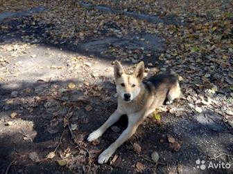 � ������� ����� �������,  �������, ��������, �������, ������ ��� �������,  ���� ����������� �������, � ������������