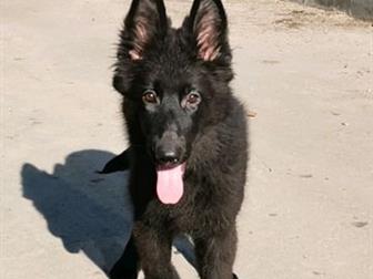 ������������ �� �������, ����� �������� �������,  ������� 3 ������,  ׸���� � ��������� �����,  ��� ���� � ������,  ����� �������� ���������� � ��������� ������������, � ������������