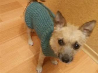 ���� ��� ��� ��������� ������� 4� ���, � ������ ��������,� ������� ����� ���� ����� �������������,������  ����� ����,�����  ������, �������-���������,��������� ��������� � ������������