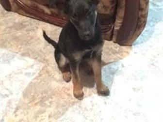 ����� ������ ,������� � ������������ ������� ,�������� ,���� ������� � ������������