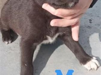 ����� �������� 1,5 ������ � ������ ����!� ��������� ����� �� ��� �������� ������ � ������,  ���� ������ ������ ����� ,����� �������� ���� � ����� ���, � ������������