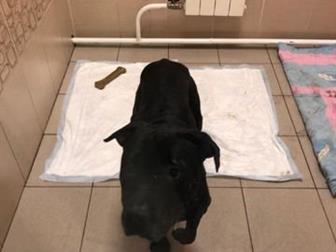 ����� � ����� ������ �������� �� ������ ���� ���� �����!���� ���������� � ����, �� ����� ���� ��� ��� ������ ����������� ����� � ����� ��� ��������, �������� �� � ������������