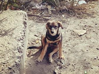 �����,������� 3-4 ������,����� �� ���� ����,��� ������� ��� ���������� ���������� ?? � �� ����� �����,�� ��������� �� ���( �� ������ �������� ��,����������������,����������, � ������������