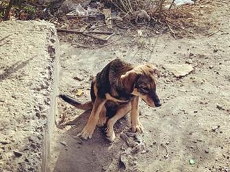 �����,������� 3-4 ������,����� �� ���� ����,��� ������� ��� ���������� ���������� ?? � �� ����� �����,�� ��������� �� ���( �� ������ �������� ��,����������������,����������, � ������������