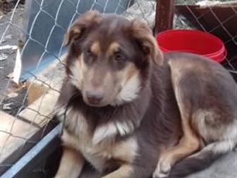 � ������ ���� ������� ,7 ������������������������������ ����� �������� ������� � ������������