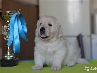 �������� ���������� ������ ����������� ��������� 5 ��������� � 4 �������, � ����������� ��� , ������������ ��������� �  ���������� �� �������� �� ������������ ���������, � ������������