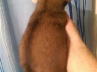 ������ ����� ����������,����� ���������,������ ����,������� ������� ����,,����� �������,�� �������� ���� �� ������� ���� � ������������