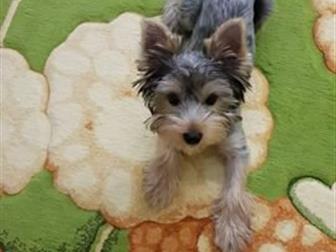 ������ ������ � ������ ����,  ��� �����,  ��� ����� 6 �������,  ������,  ���� �������,  ������ ���� ���� ������,  ����� �� �������,  �������, �������,  �������� � ������������