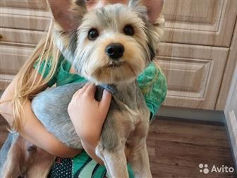 ������ ������ � ������ ����,  ��� �����,  ��� ����� 6 �������,  ������,  ���� �������,  ������ ���� ���� ������,  ����� �� �������,  �������, �������,  �������� � ������������