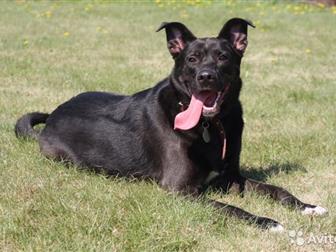 �������� �� A�� � ������� ����!��� 5 ���, �����������,  ��������, ����� ��� ����������� ������� � � ������������� ��������� �����!ϸ� ����� ��������, �������� � ������������