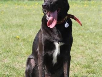 �������� �� A�� � ������� ����!��� 5 ���, �����������,  ��������, ����� ��� ����������� ������� � � ������������� ��������� �����!ϸ� ����� ��������, �������� � ������������