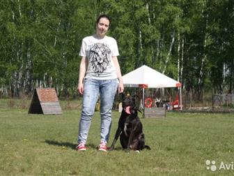 �������� �� A�� � ������� ����!��� 5 ���, �����������,  ��������, ����� ��� ����������� ������� � � ������������� ��������� �����!ϸ� ����� ��������, �������� � ������������