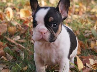 ����� �������� ����� ������� ������ � �������� � ����� ������ �����, � ����� ��������� �� �� ���������� �� ����������,������ ������ � ������ ��������, ������� ������ � ������������