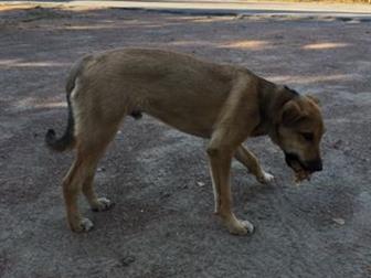 ����� �������, ����� �� ��������,  �������� ��� ����� � ��������,  ����� ��� �������!!! ����� ���� ���� � ������� ���? ������ ���� ��� ��������! � ������������