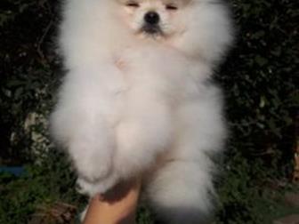 �, �, 12, 07, 2019�, ����������� ������� ���� � ��������� ����,  ������� ������ ������ - ����������, �������� ��������, ���� - �����,  ��������� ���,�������� �� � ������������