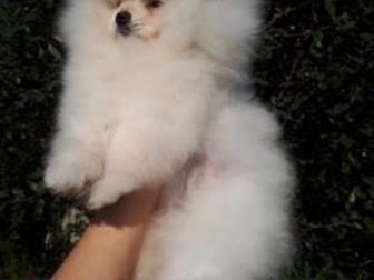 �, �, 12, 07, 2019�, ����������� ������� ���� � ��������� ����,  ������� ������ ������ - ����������, �������� ��������, ���� - �����,  ��������� ���,�������� �� � ������������