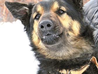 ���� ������������� ������ ��� �������� ��������� ����!  ���� 1,5 ����,  ��� - ����������� ������� ��� ������ �������� ����: ������� ��������( �� ������� ����� ������� � ������������