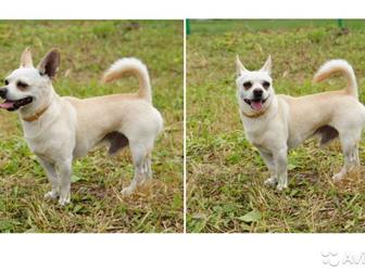 ������������ ����� � ������� ��������,  ����� � ����� ������ �������,  ����������� ���, ������ ����������,  ������������ ����� ����� � ������������