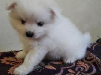 ���� ������� ����� ���� �������� , �������� 15 �������, ������� � �������, ����� ������� � ������� ������,  ���� ����������� ������ ������ ������ ���������� ������, � ������������