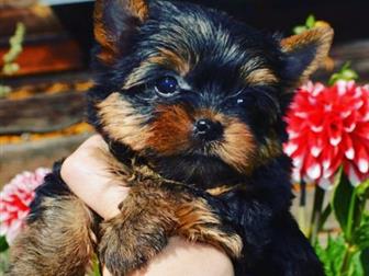 ���������� �������������� ������ ,������ ����������� ������ �, �17, 08, 2019 ����� ������� � �������� ����� 22, 10 � ������ ������� ���������� ��� ,������� ,����� � ������������